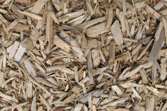 biomass boilers Pike Law
